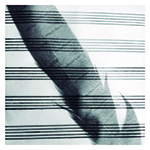 Caricia por componer